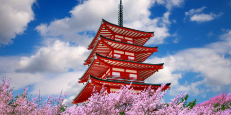 Tokyo: Private Cherry Blossom Experience - the best of ancient & modern Japan